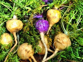 �c(di��n)���鿴Ԕ��(x��)